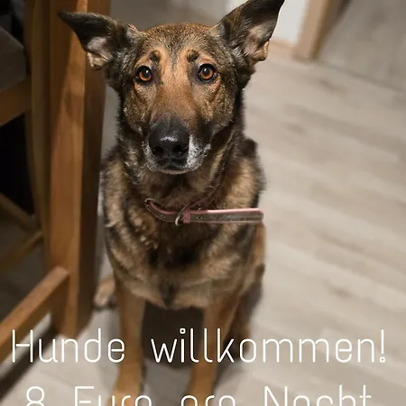 Apartment Roessewiese *